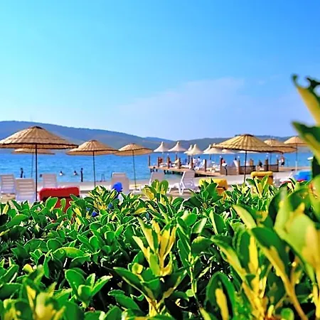 Oscar Seaside & 4* Bodrum